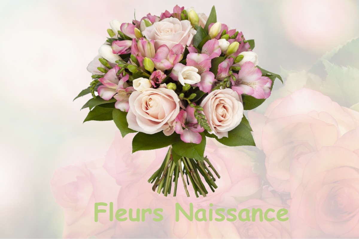 fleurs naissance SEILHAN