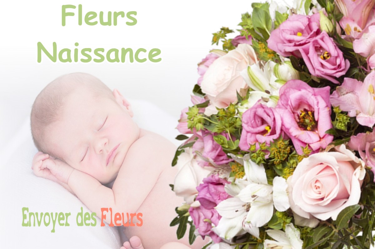 lIVRAISON FLEURS NAISSANCE à SEILHAN